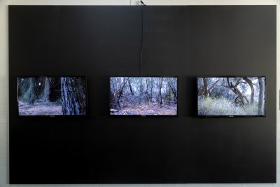 Laura Freitag, Untitled, Natural Remedy, 2014–present. HD video.